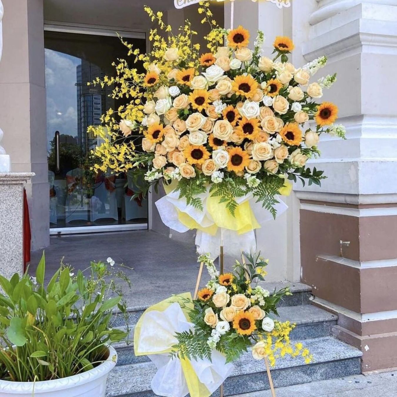 Elegant Echelons Grand Opening Stand πΌππ₯ image 1
