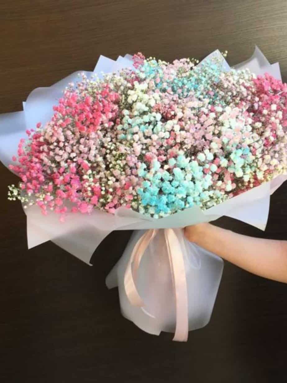 Rainbow Baby Breath image 1