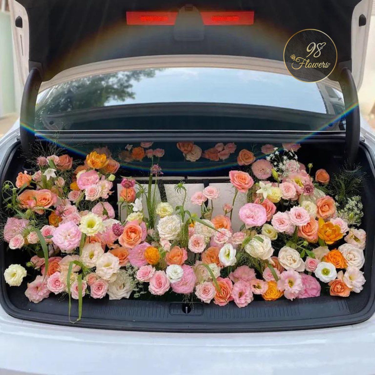 Radiant Rose Harmony Gift Set image 0