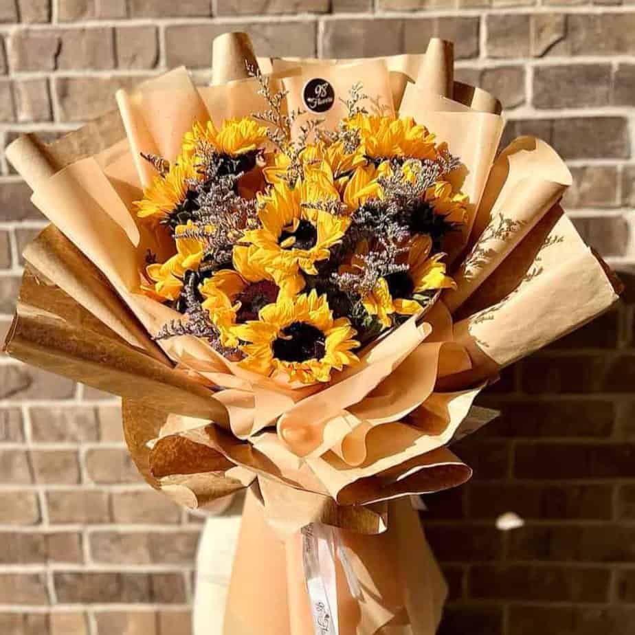 Sunny image 0