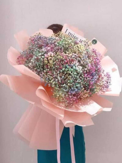 Rainbow Baby Breath image 7