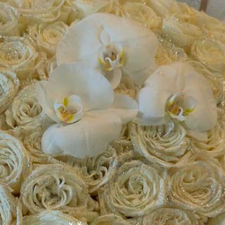 Orchid