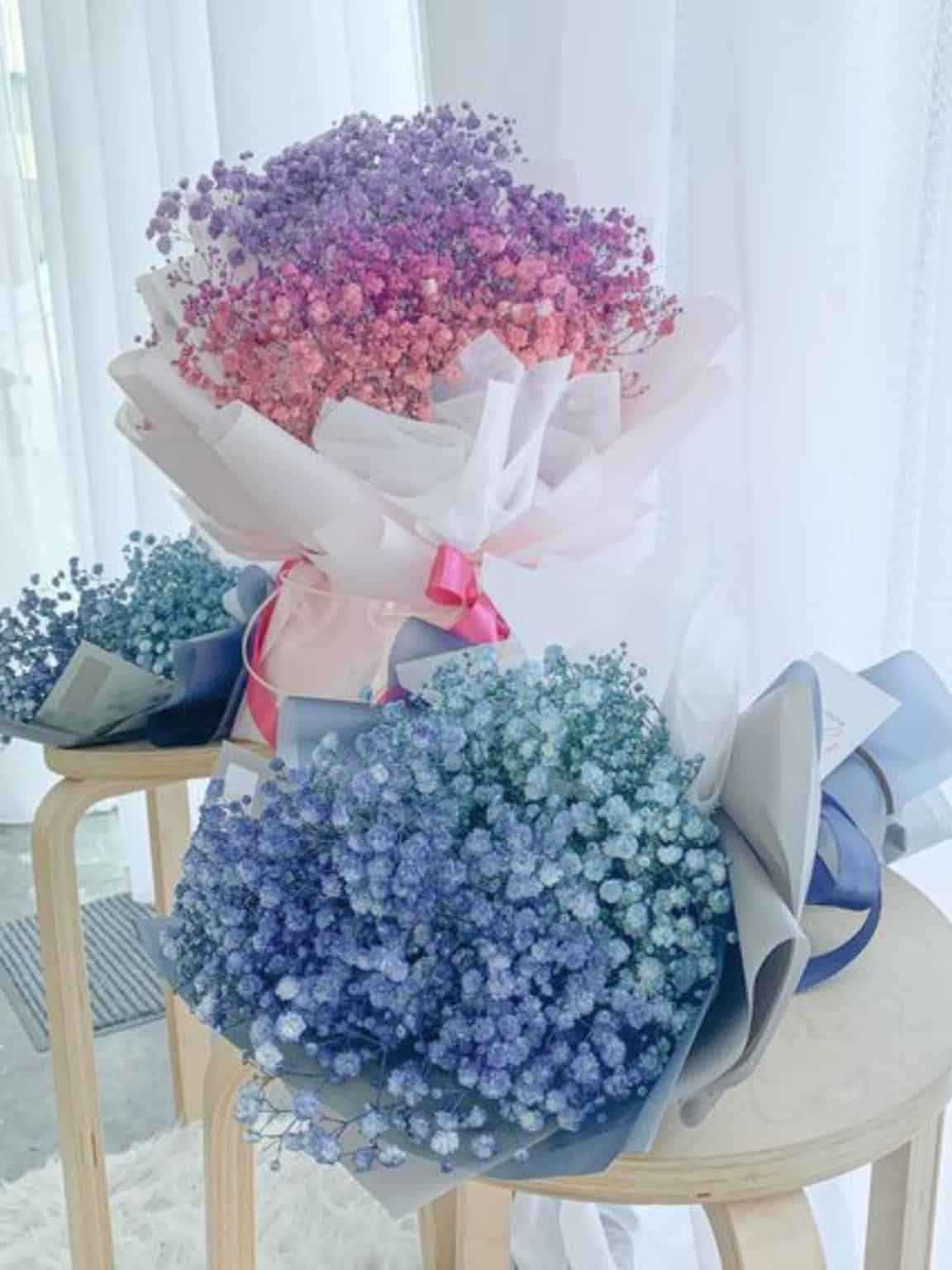 Rainbow Baby Breath image 2