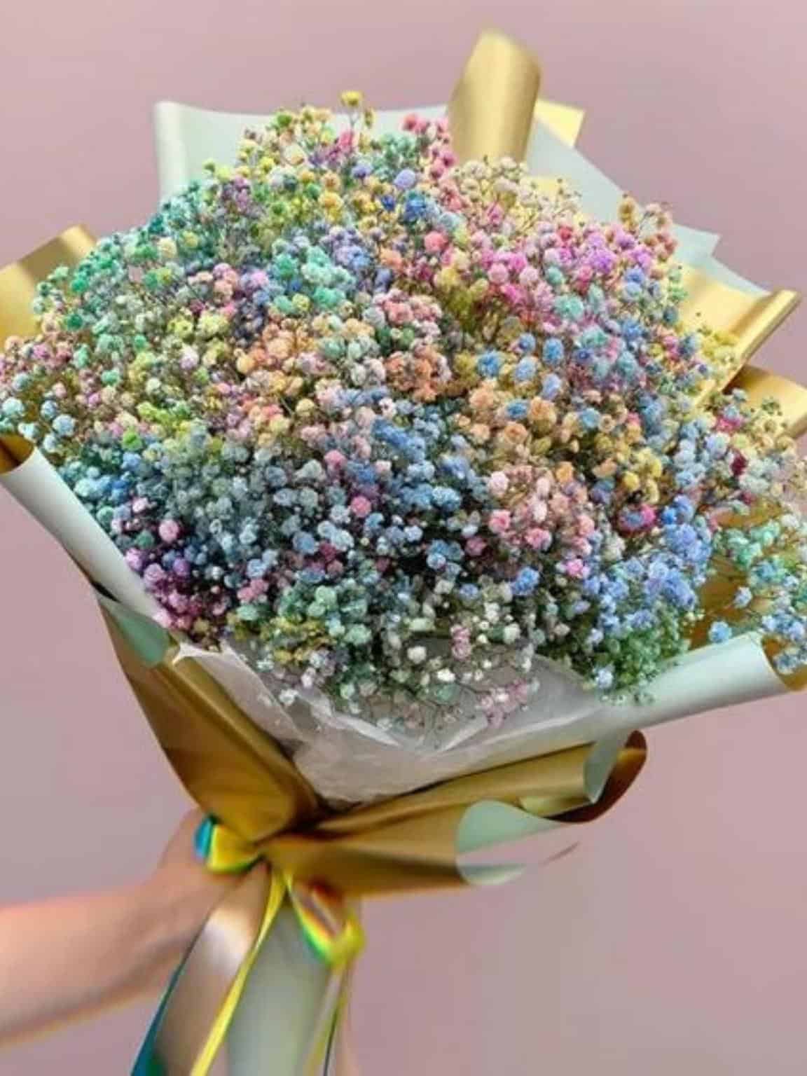 Rainbow Baby Breath image 5