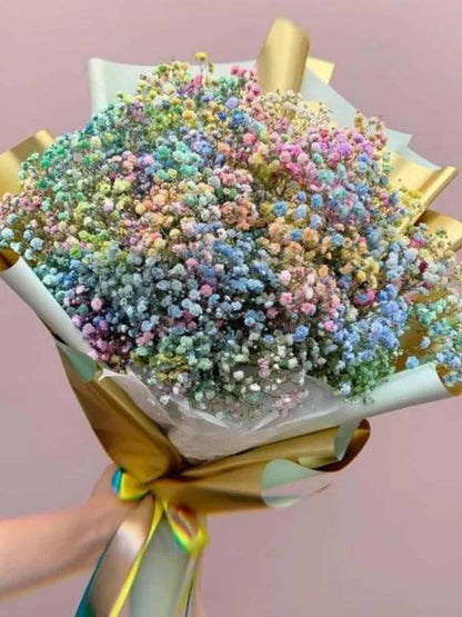 Rainbow Baby Breath image 5