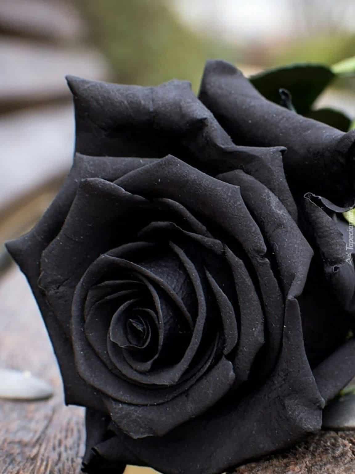 Magical Black Roses Bouquet