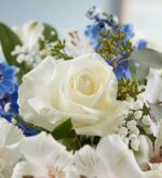 167006alt_viewx[1]