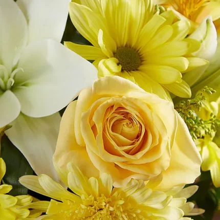 Healing Tears™ Yellow & White  