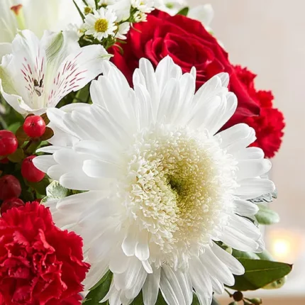 Healing Tears™ Red & White  