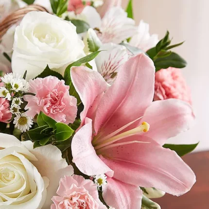 Peace, Prayers & Blessings™ Pink & White  