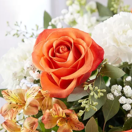 Loving Sentiments™ Peach, Orange & White  