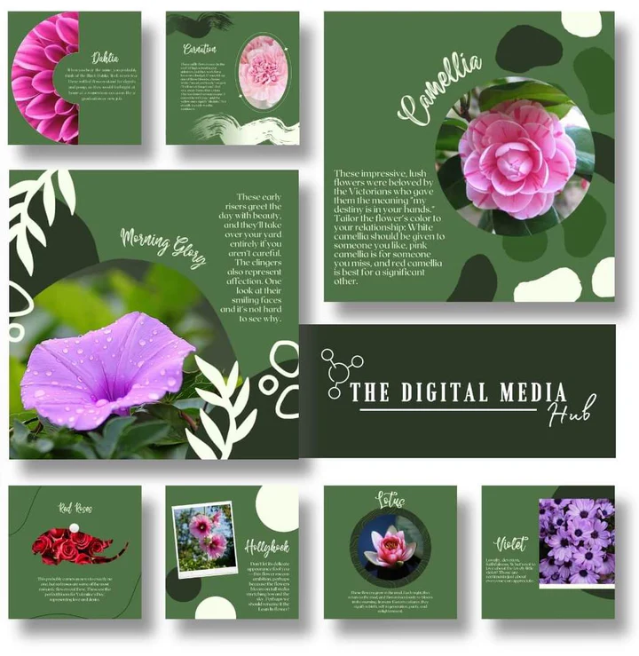 florist-flowers-meaning-social-media-templates_720x