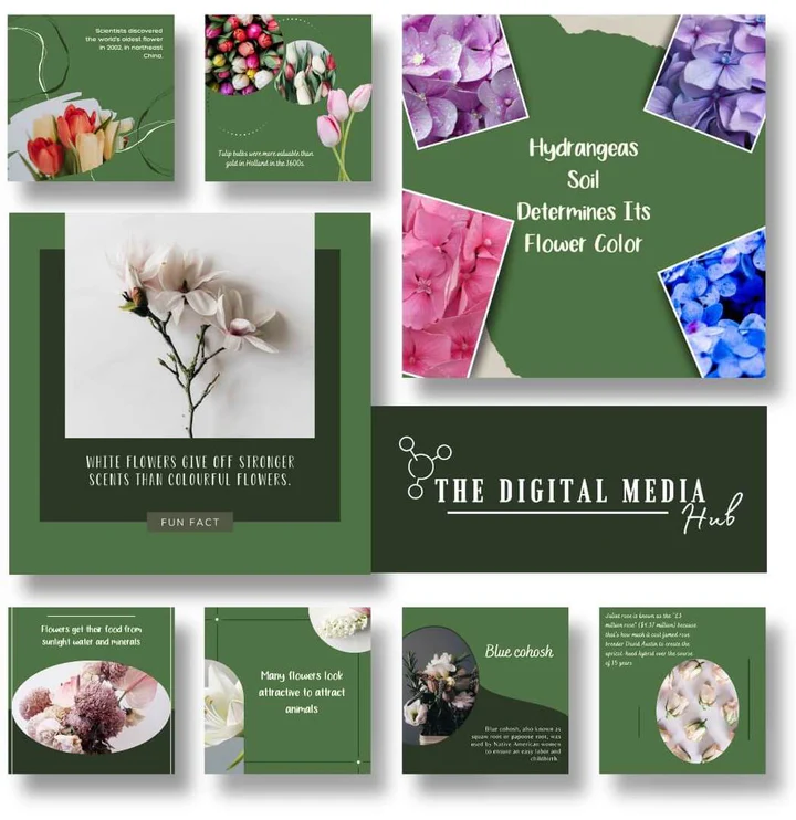 florist-fun-facts-social-media-templates_720x