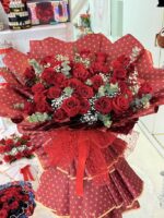 IMG_0596 IMG_0596
