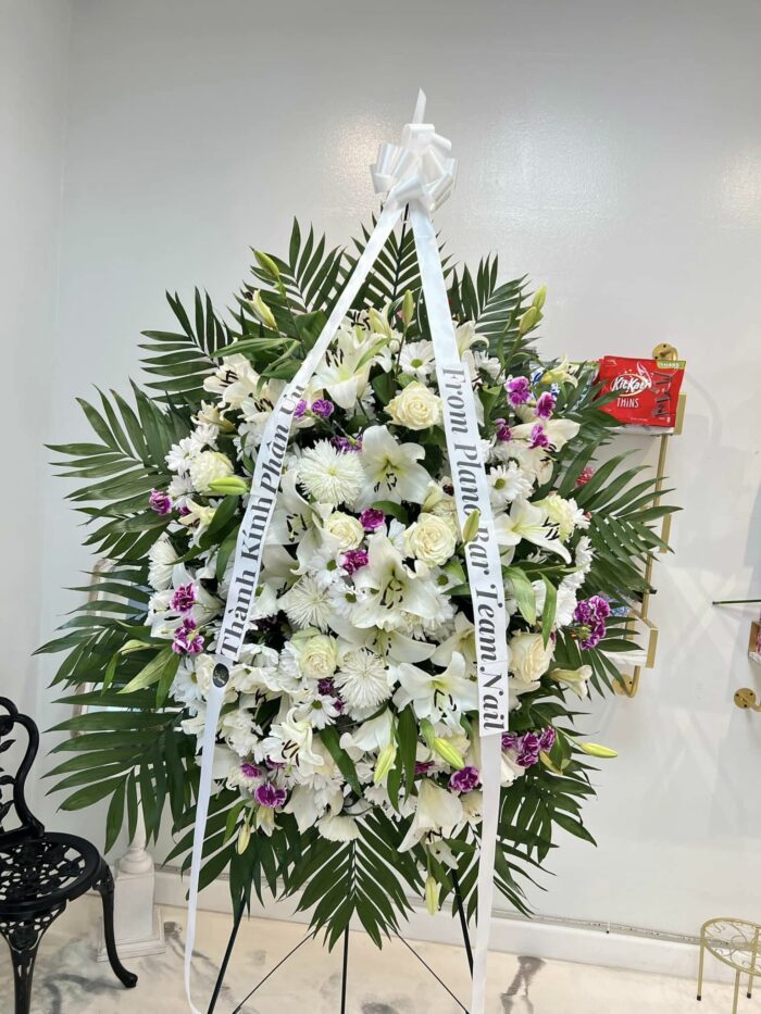 480501749_668034819065657_8698490219575050679_n