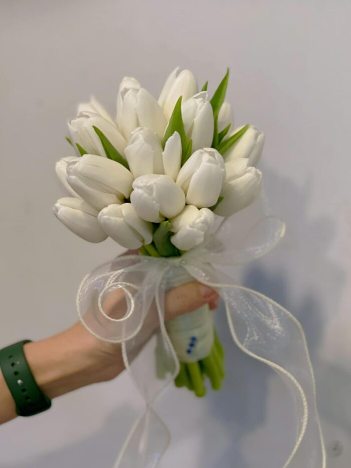 482220952_664198486115957_7333762202531300580_n