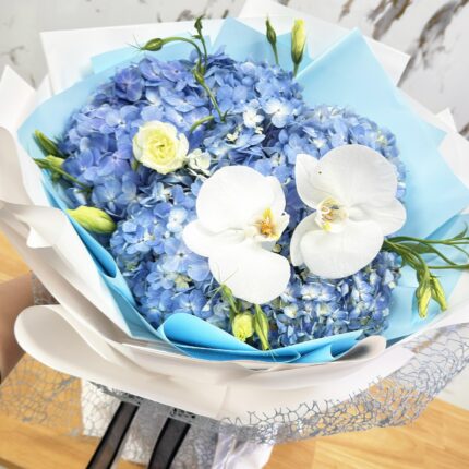 Blue Hydrangea Cloud anniversary flowers, birthday flowers, blue and white bouquet, blue bouquet, blue flowers, blue hydrangea, congratulations flowers, corporate flowers, flowers for men, get well flowers, houston flower delivery, hydrangea bouquet, hydrangea houston, lisianthus, luxury bouquet, new baby boy flowers, phalaenopsis orchid, same day delivery houston, thank you flowers, white orchid 